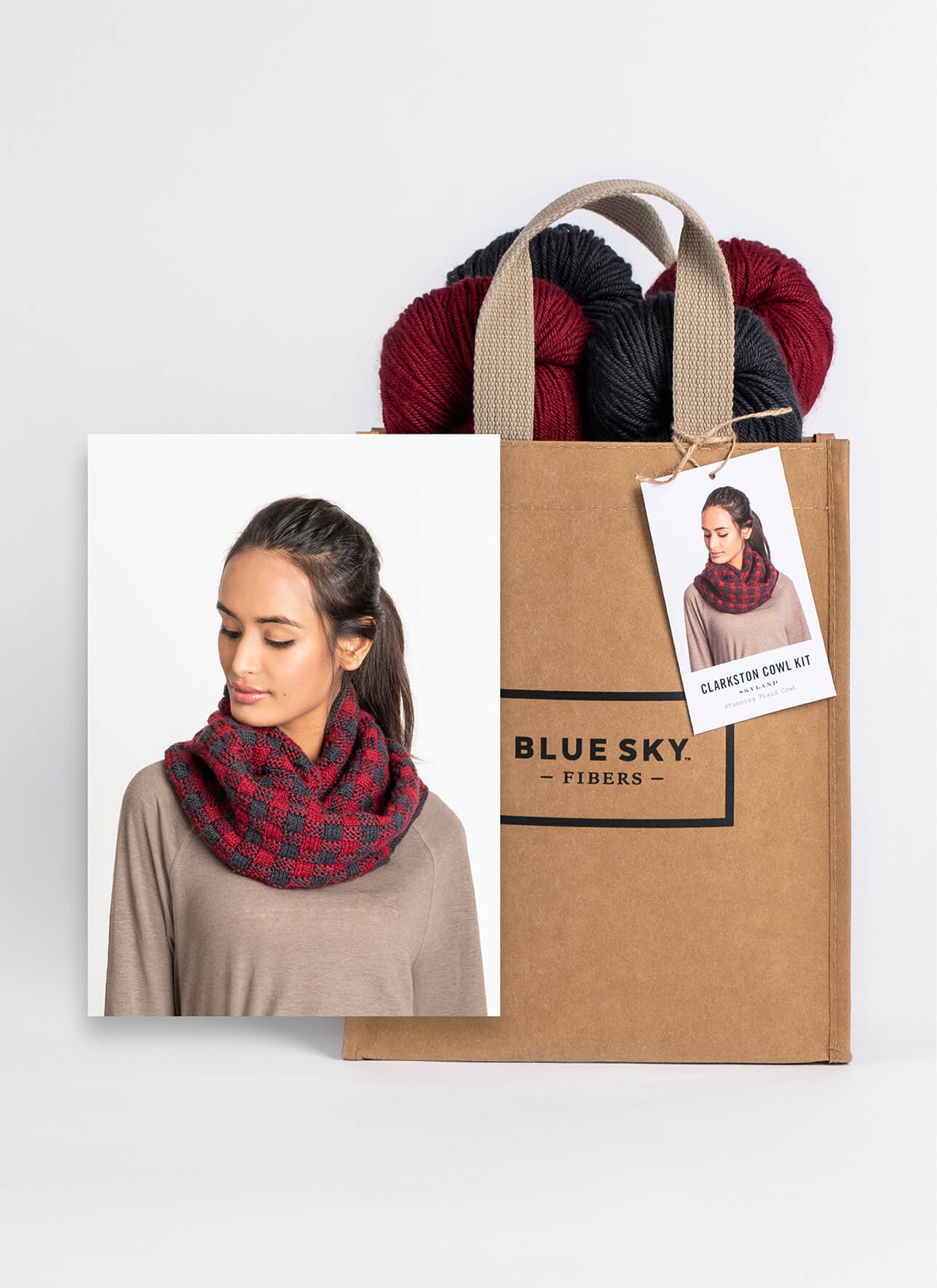 Blue Sky Fibers Skyland: Clarkston Cowl Kit