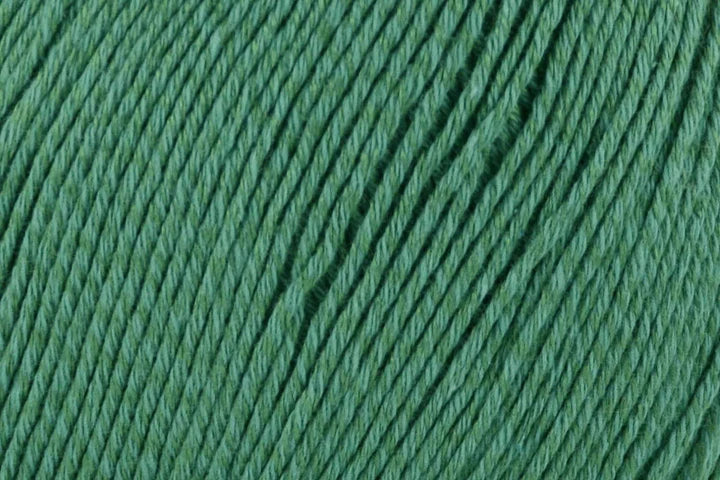 Bamboo Pop