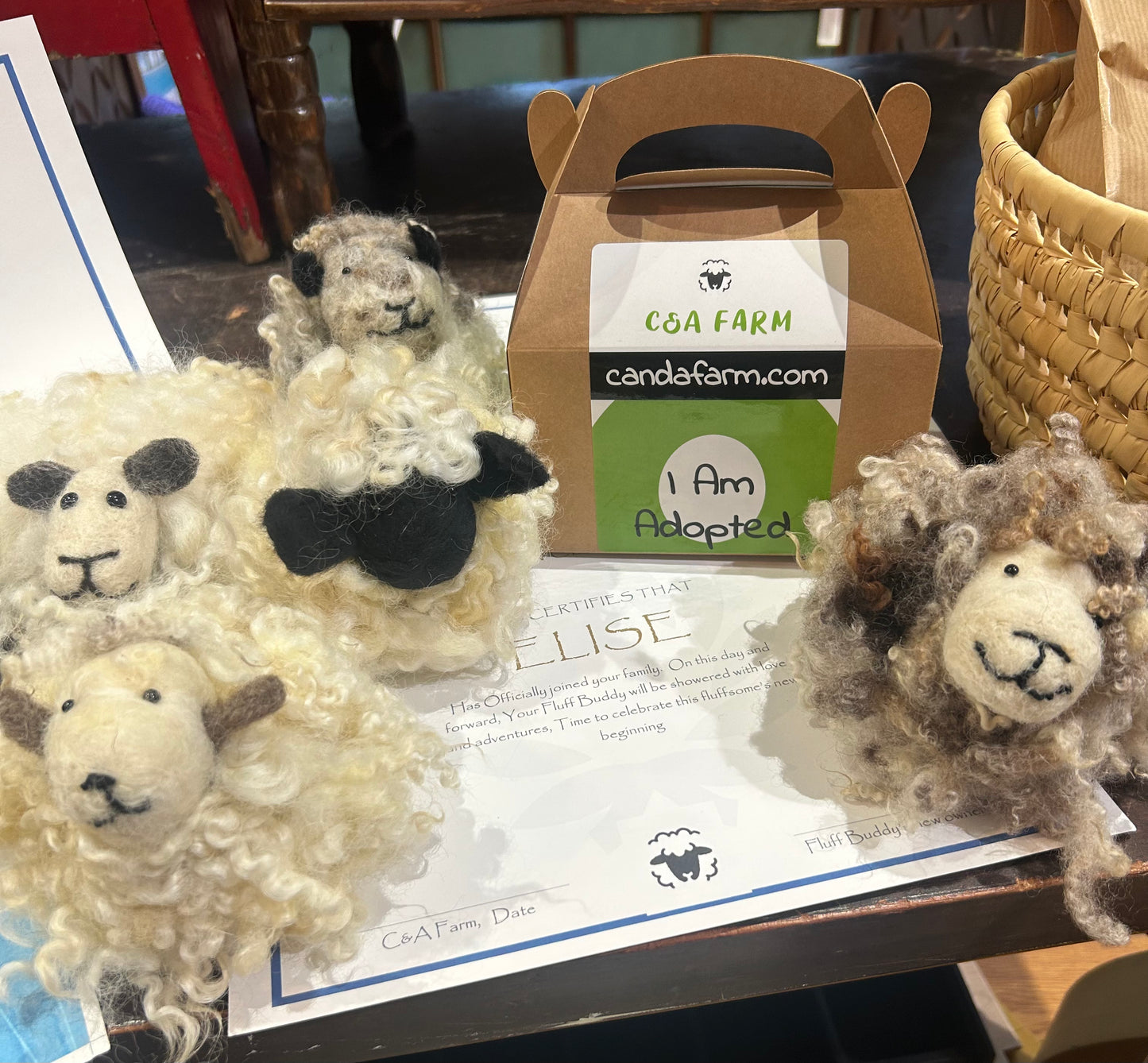 C&A Farm Fluff Buddy Adoption