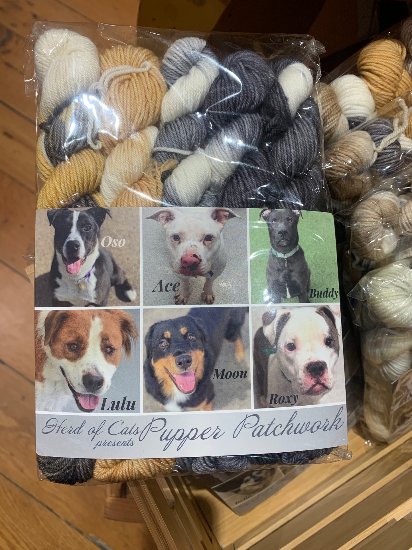 Road Trip Cat/Dog Inspired Mini Packs