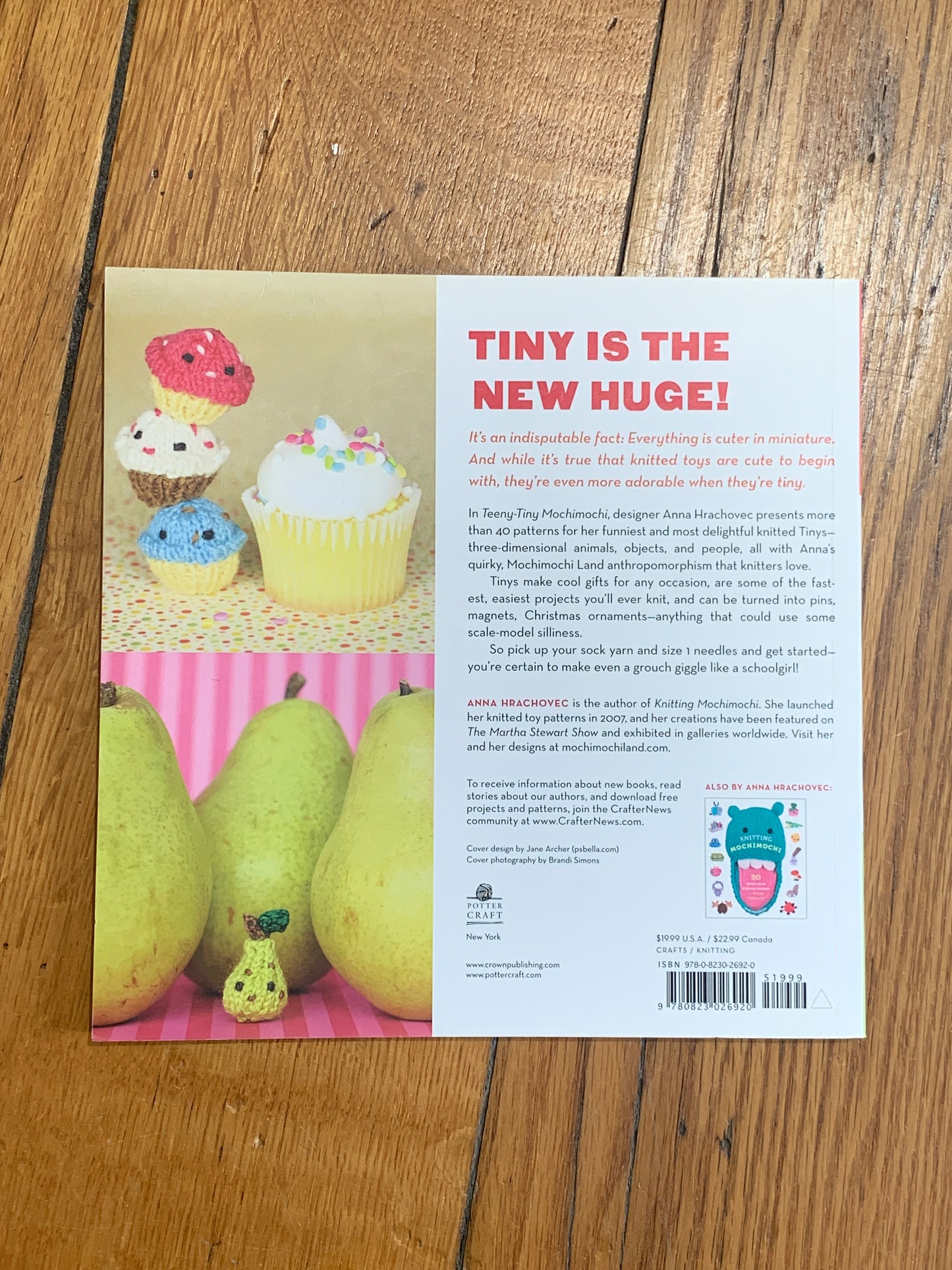 Teeny Tiny Mochimochi - Anna Hrachovec