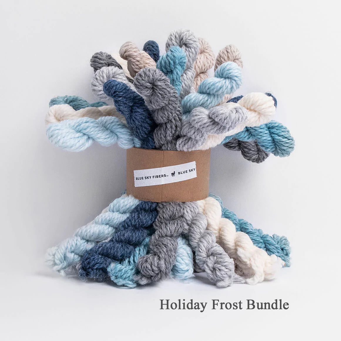 Woolstok Bundles - Blue Sky Fibers