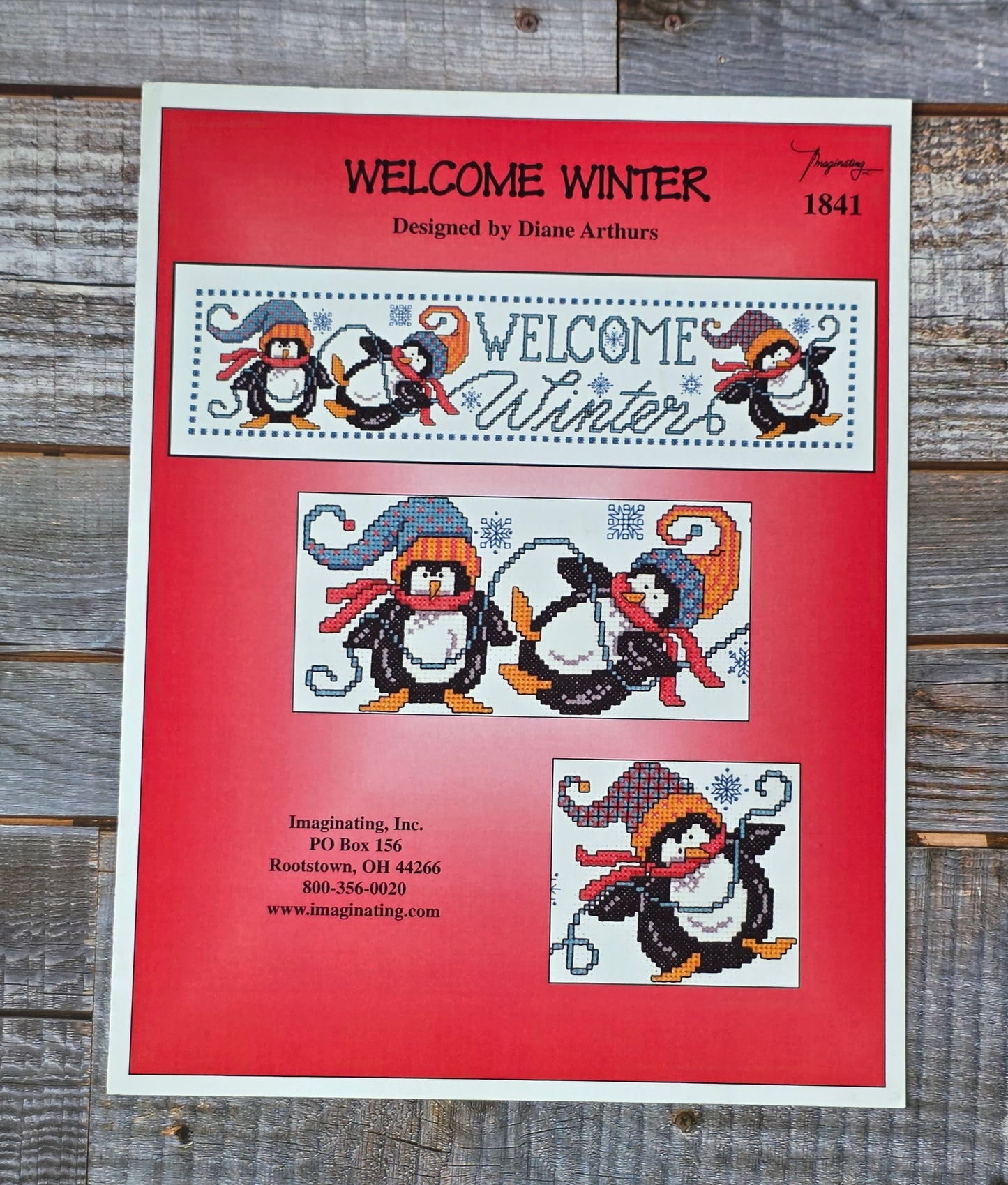 Imaginating: Welcome Winter 1841 Pattern