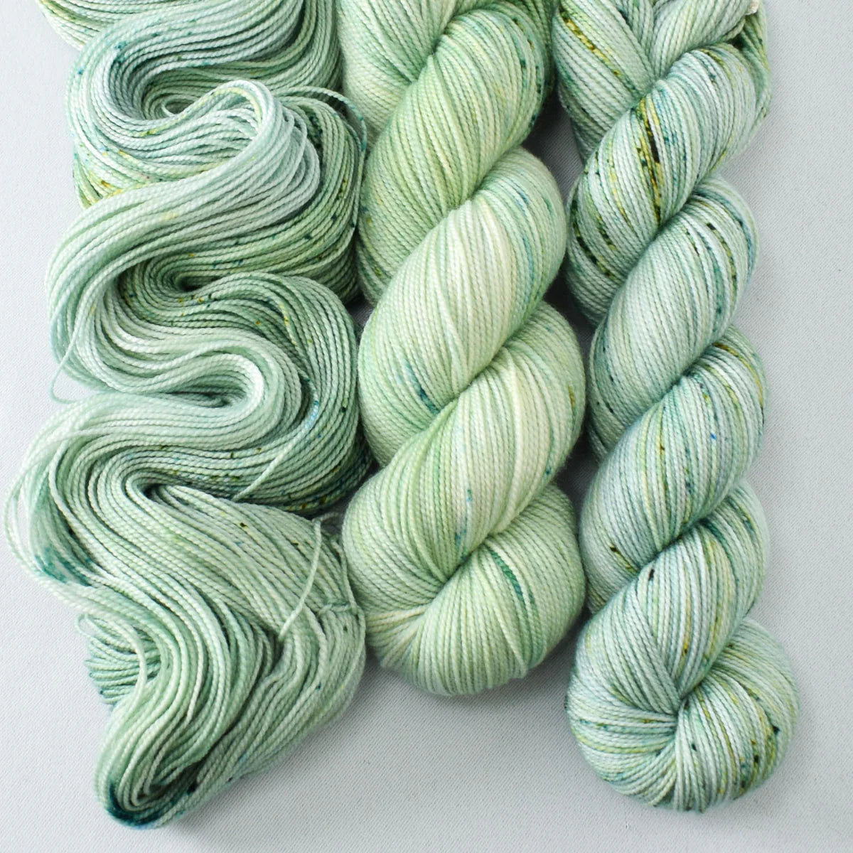 Miss Babs Show 2026 - Yummy 2 Ply