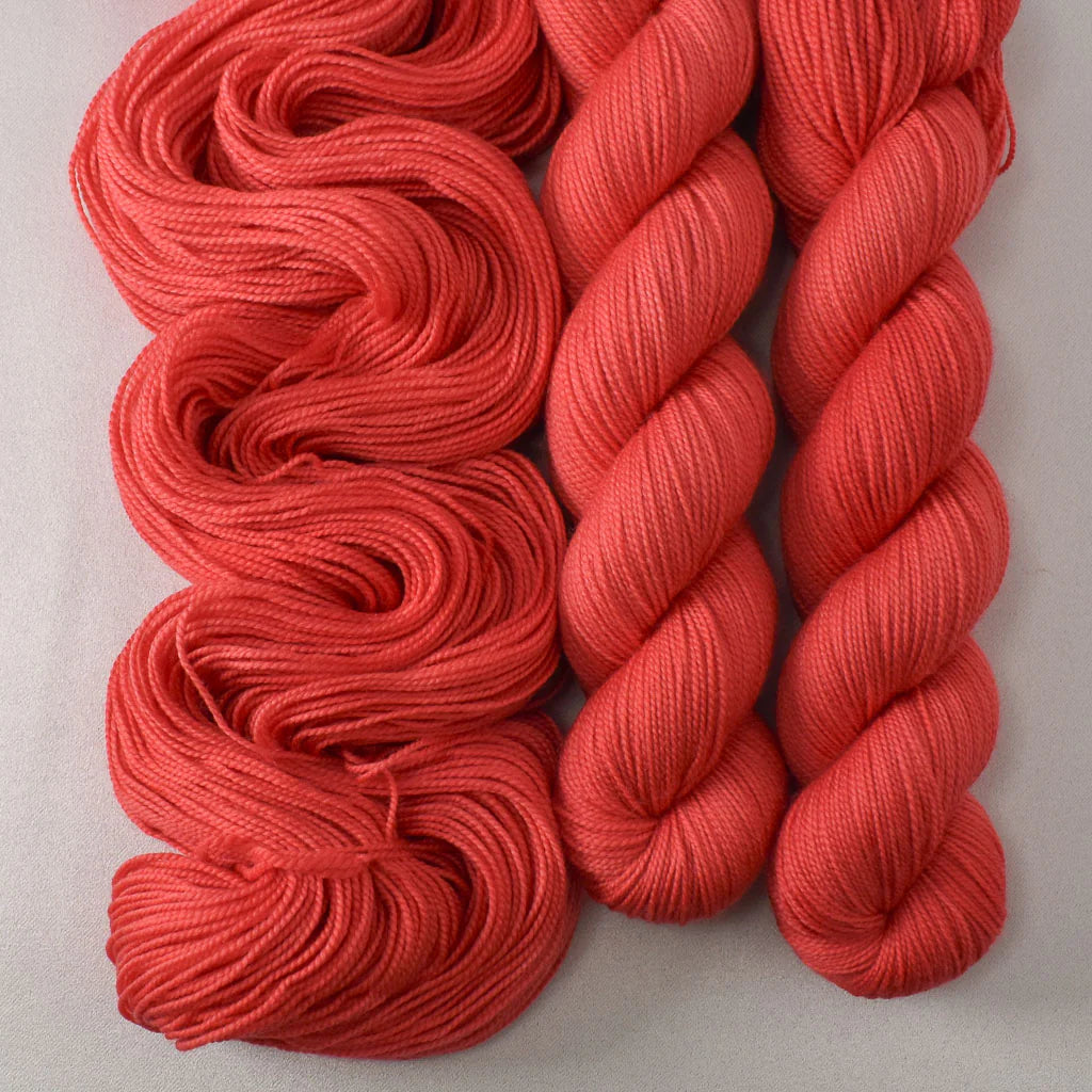 Miss Babs Show 2026 - Yummy 2 Ply