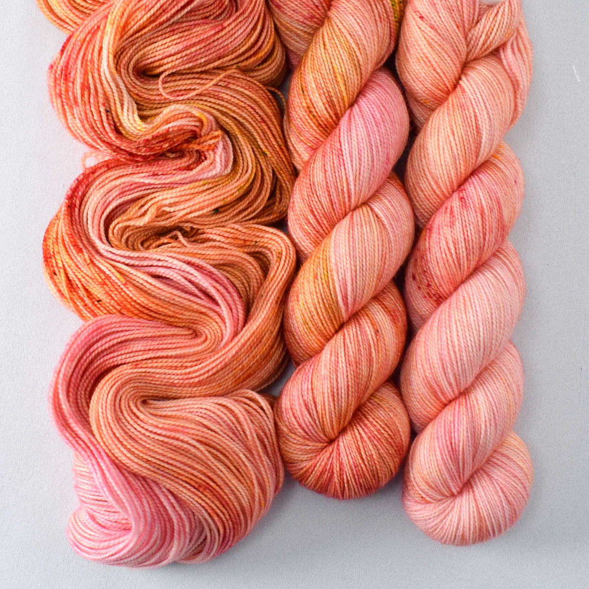 Miss Babs Show 2026 - Yummy 2 Ply