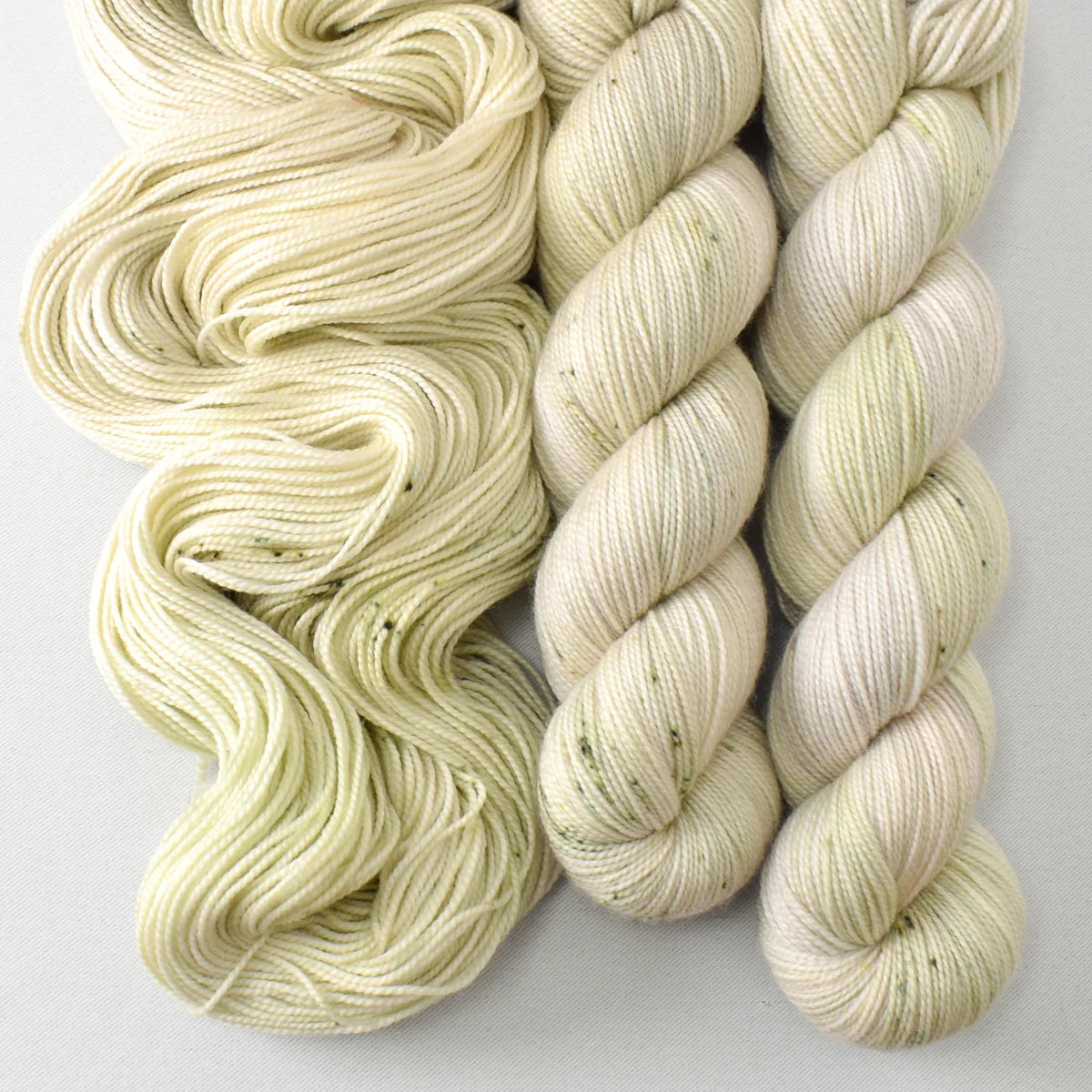 Miss Babs Show 2026 - Yummy 2 Ply