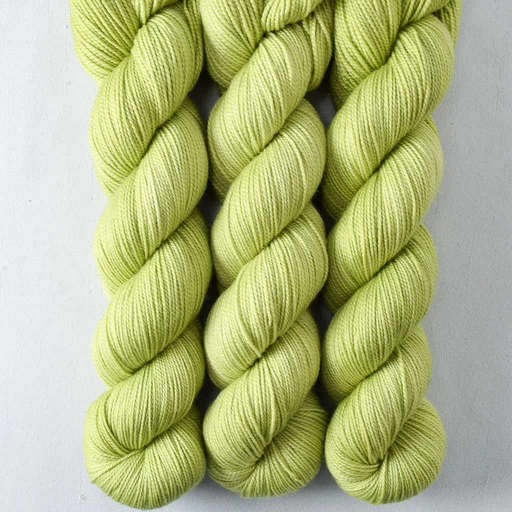 Miss Babs Show 2026 - Yummy 2 Ply