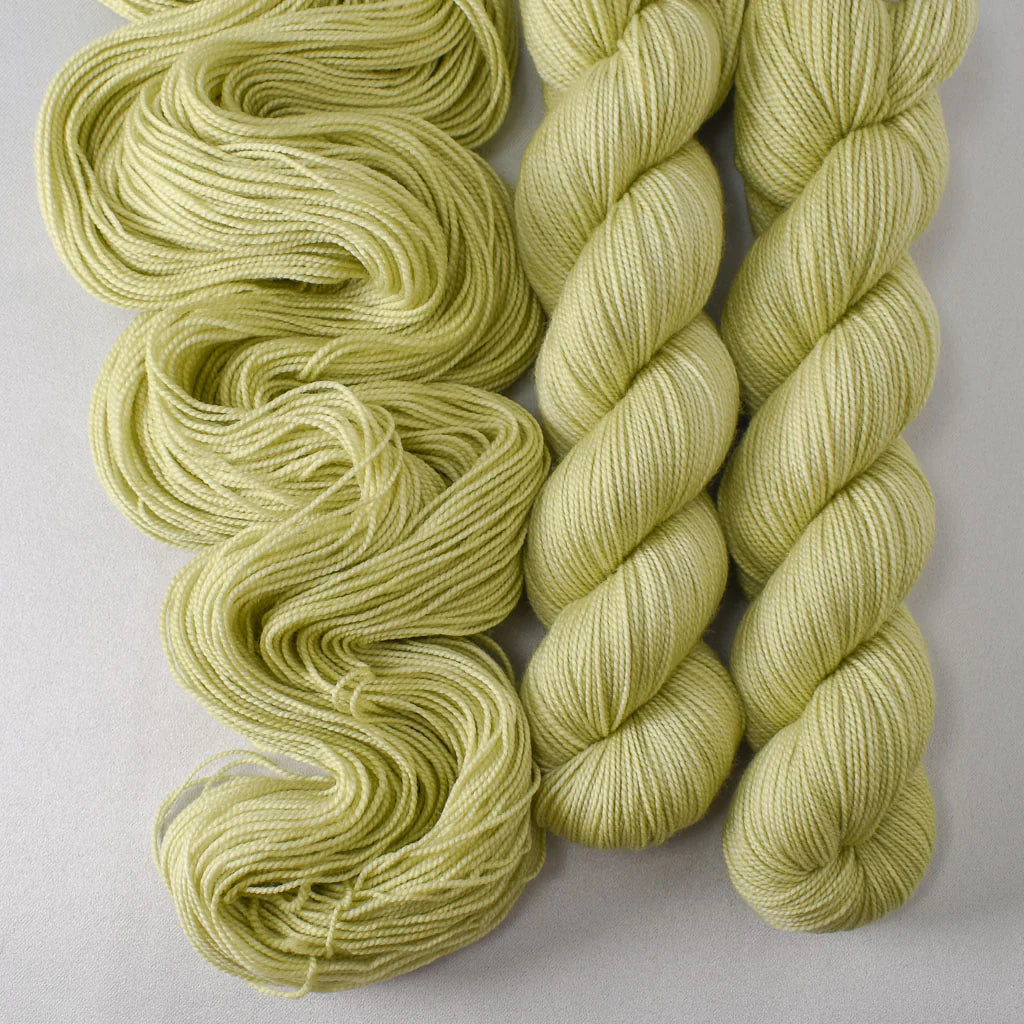 Miss Babs Show 2026 - Yummy 2 Ply
