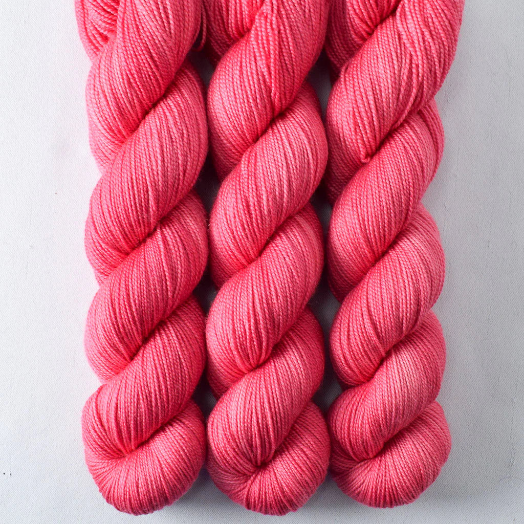 Miss Babs Show 2026 - Yummy 2 Ply