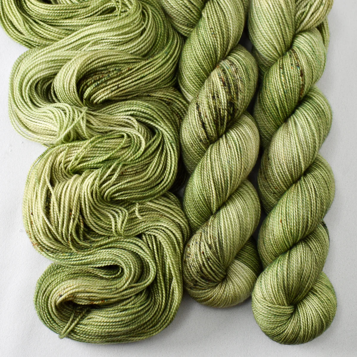 Miss Babs Show 2026 - Yummy 2 Ply