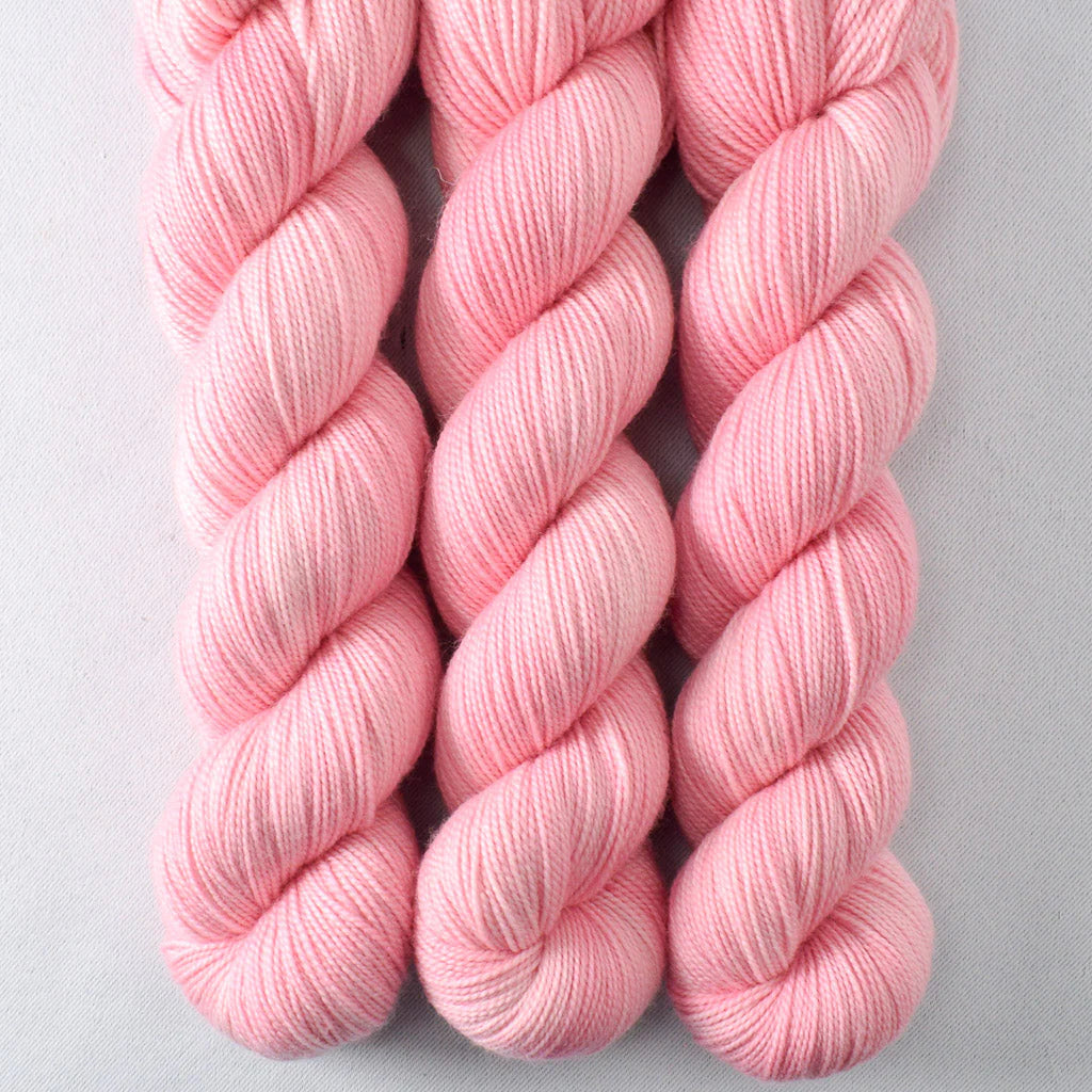 Miss Babs Show 2026 - Yummy 2 Ply