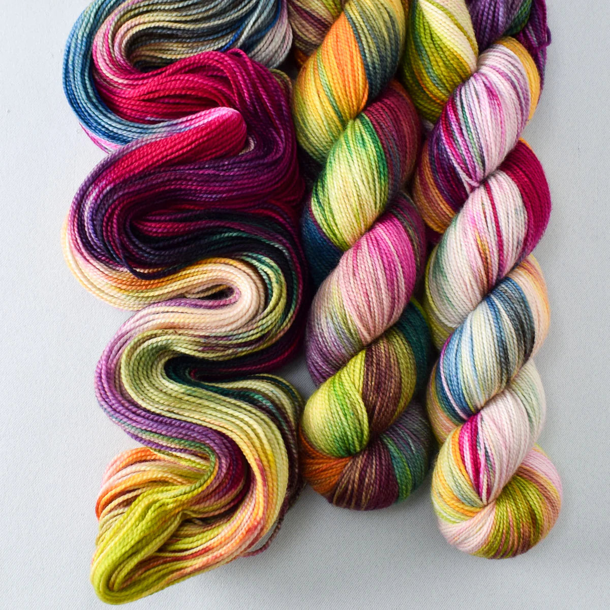 Miss Babs Show 2026 - Yummy 2 Ply