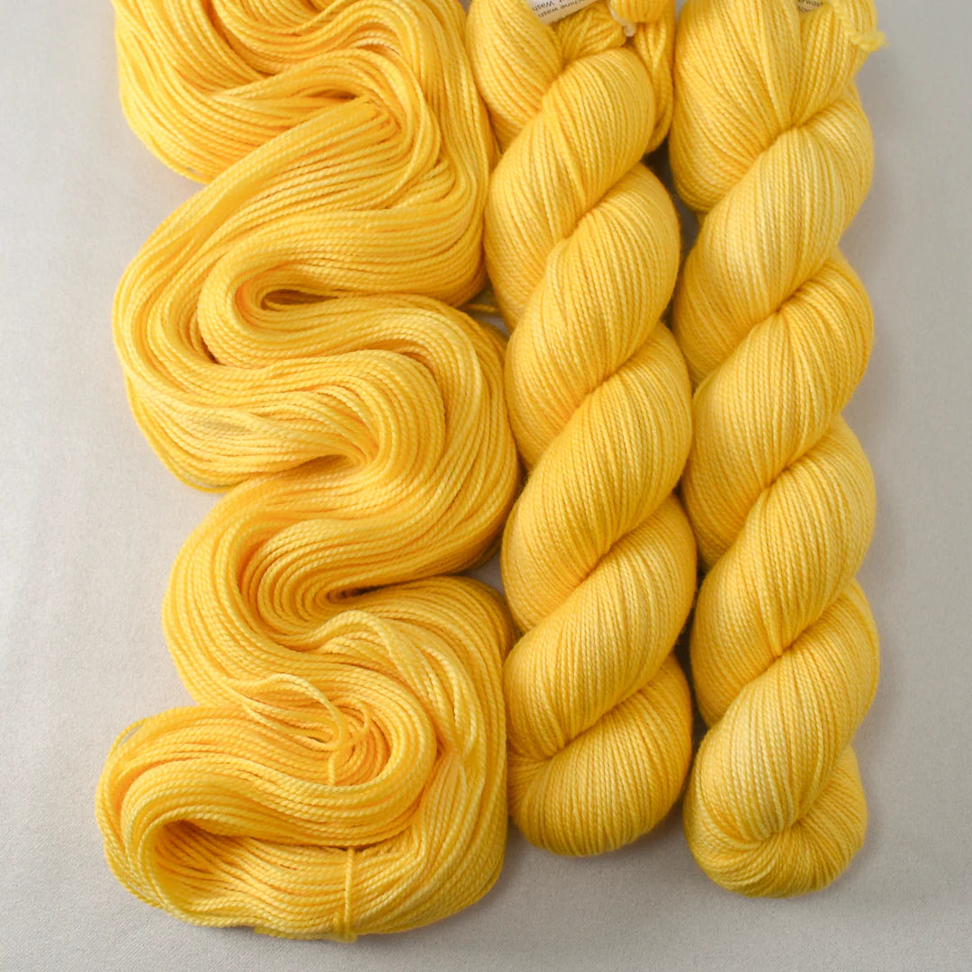 Miss Babs Show 2026 - Yummy 2 Ply