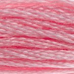 DMC 6 Strand Embroidery Floss (25)