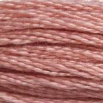 DMC 6 Strand Embroidery Floss (25)