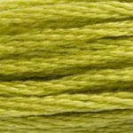 DMC 6 Strand Embroidery Floss (25)