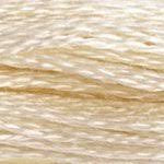 DMC 6 Strand Embroidery Floss (25)