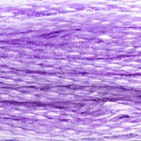DMC 6 Strand Embroidery Floss (25)