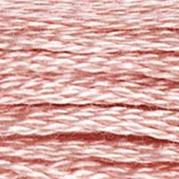 DMC 6 Strand Embroidery Floss (25)