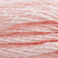 DMC 6 Strand Embroidery Floss (25)