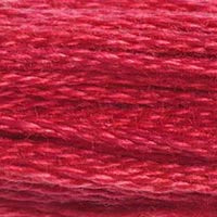 DMC 6 Strand Embroidery Floss (25)