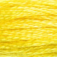 DMC 6 Strand Embroidery Floss (25)
