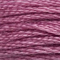 DMC 6 Strand Embroidery Floss (25)