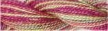 Caron Collection Watercolour Floss