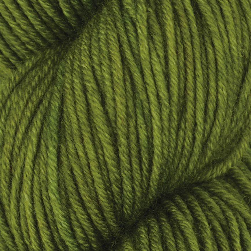Symfonie Viva DK