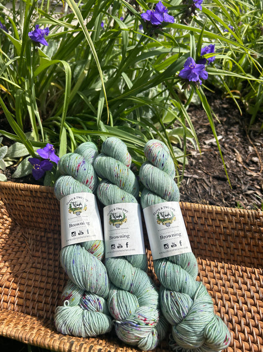 Wildflowers on the Creeper Trail - Custom Colorway VABRYC 2025