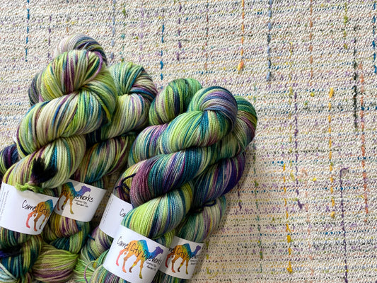 Yarn Camp - Camel City Dyeworks Exclusive Colorway